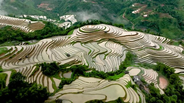 Aerial View of Hoang Su Phi Terraced Rice Fields During Water Season, Tuyen Quang, Vietnam