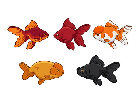A collection of five colorful goldfish illustrations in various swimming poses.