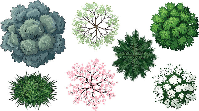 Top view trees and shrubs vector set landscape design elements, plan view plants, garden vegetation icons