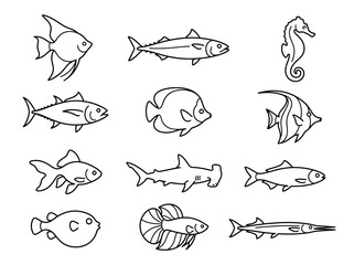 Obraz premium A collection of various hand drawn fish and sea creature illustrations.