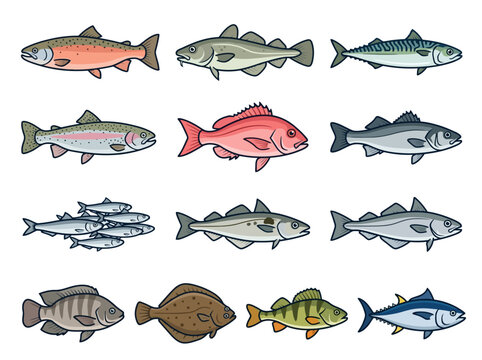 A collection of various colorful fish species illustrated in a flat vector style.