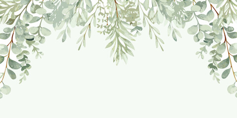Watercolor eucalyptus leaves and stems form a botanical header arrangement on a pale background © Smritykona