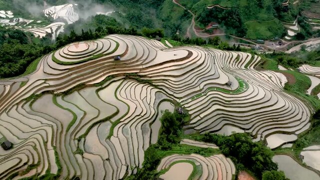 Aerial View of Hoang Su Phi Terraced Rice Fields During Water Season, Tuyen Quang, Vietnam