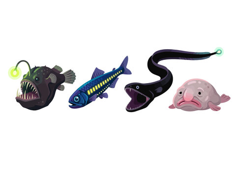 A collection of various deep sea creatures including an anglerfish and a blobfish.