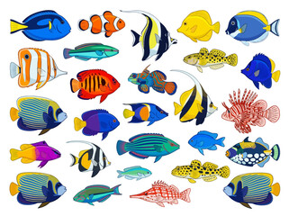 Fototapeta premium A collection of various colorful tropical fish species isolated on a white background.