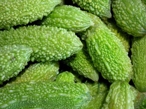 A close-up view of fresh bitter melons (Momordica charantia) with vibrant green color and richly textured, bumpy skin