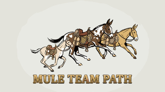 Mule team path illustration. Western vintage artwork. Cowboy t shirt print design.