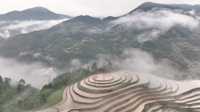 Aerial View of Hoang Su Phi Terraced Rice Fields During Water Season, Tuyen Quang, Vietnam