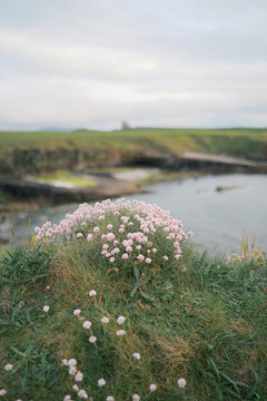 Mullaghmore County Sligo Ireland