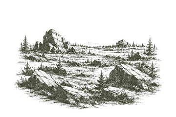 Fototapeta premium Vintage engraved rocky plain vector illustration featuring scattered boulders across an open natural landscape in detailed hand drawn etching style