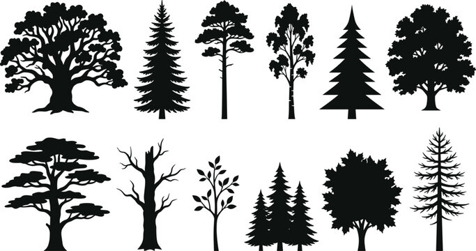 Black Tree Silhouette Icon Set Featuring Detailed Species Including Oak Pine Fir Birch Cedar Maple and Bare Winter Trees for Nature Vector Graphic Designs