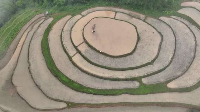 Aerial View of Hoang Su Phi Terraced Rice Fields During Water Season, Tuyen Quang, Vietnam