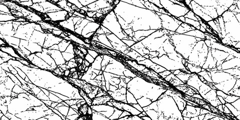 Obraz premium Luxury White Marble Texture with Fine Black Spider Veins Premium Natural Stone Background Surface.