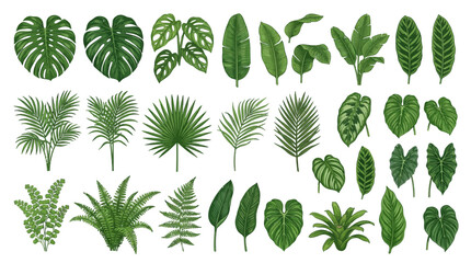 Variety of green tropical leaves. © paman