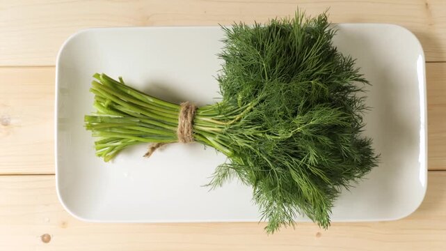 Fresh dill herb bunch on a white plate