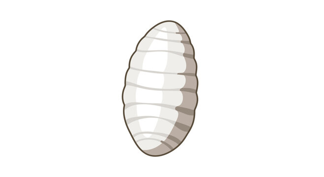 Illustration of a White Silkworm Cocoon Isolated on White