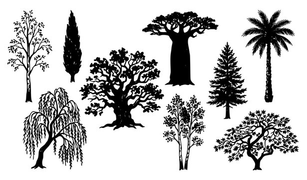 Organic hand drawn tree silhouettes vector collection featuring realistic botanical forest shapes