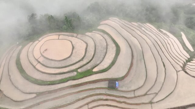 Aerial View of Hoang Su Phi Terraced Rice Fields During Water Season, Tuyen Quang, Vietnam