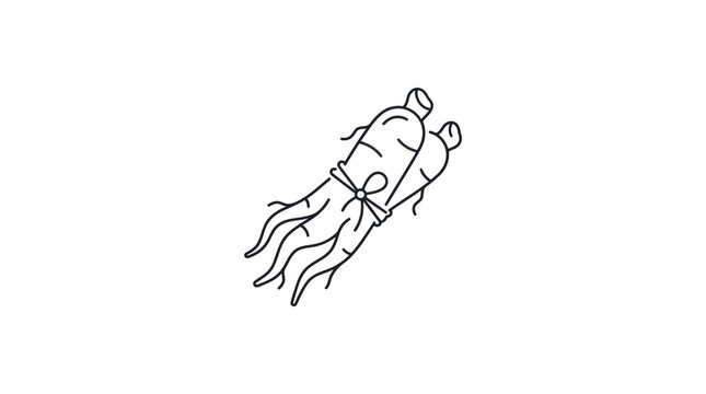Ginseng Root Vector Illustration