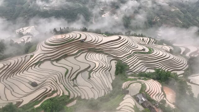Aerial View of Hoang Su Phi Terraced Rice Fields During Water Season, Tuyen Quang, Vietnam