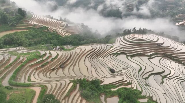 Aerial View of Hoang Su Phi Terraced Rice Fields During Water Season, Tuyen Quang, Vietnam