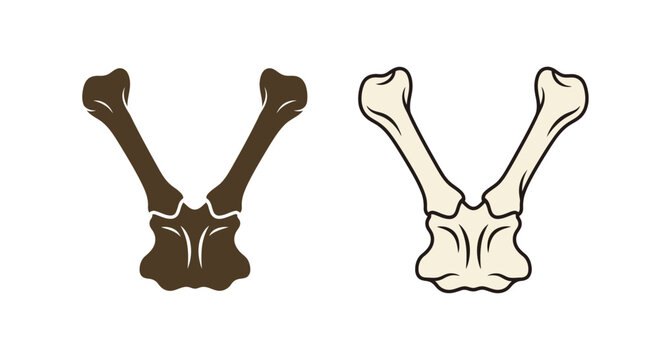 Fossilized Bird Wishbone vs Modern Bird Wishbone Comparison