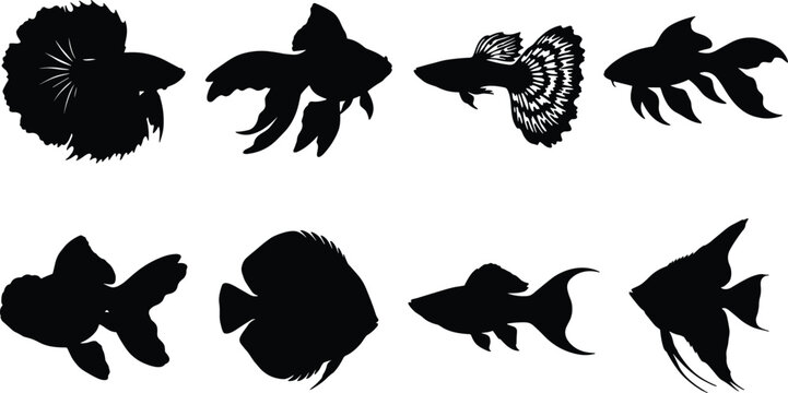 Collection of aquarium fish silhouettes including betta goldfish guppy discus and angelfish isolated on white background