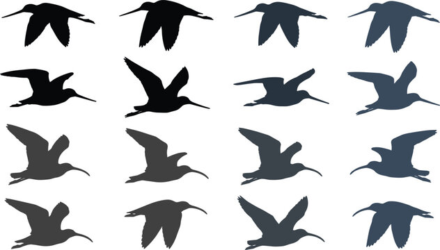 Shorebird silhouette vector set featuring flying sandpiper curlew snipe snipe coastal wetland wildlife nature animal elements collection,