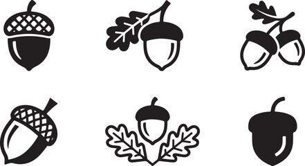 Black and white acorn and oak leaf vector icons set Vector © Nur