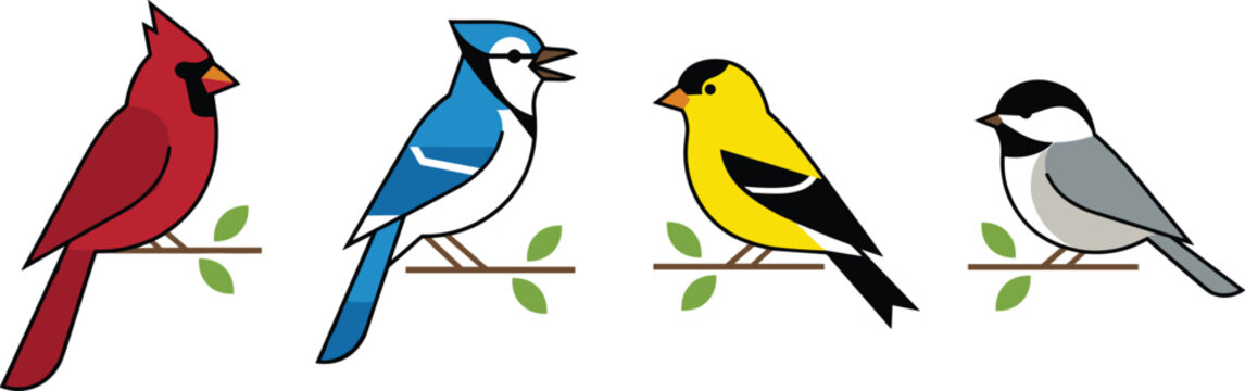 Songbird vector set featuring colorful cardinal blue jay goldfinch chickadee perched on green branches nature illustration collection,