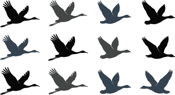 Flying goose silhouette vector set featuring migrating Canada geese waterfowl flock wildlife nature animal graphic elements collection,