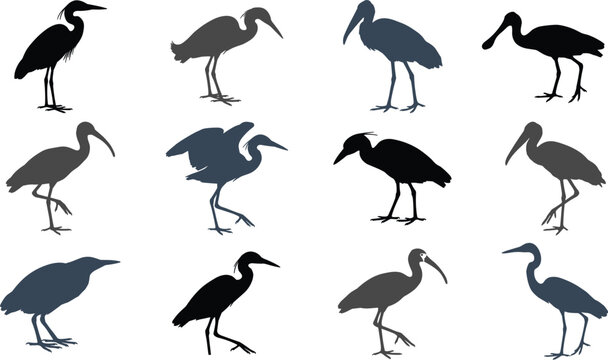 Wading bird silhouette vector set featuring heron egret ibis stork spoonbill crane wildlife nature animal elements collection