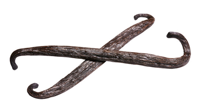 Two dried vanilla bean pods crossed