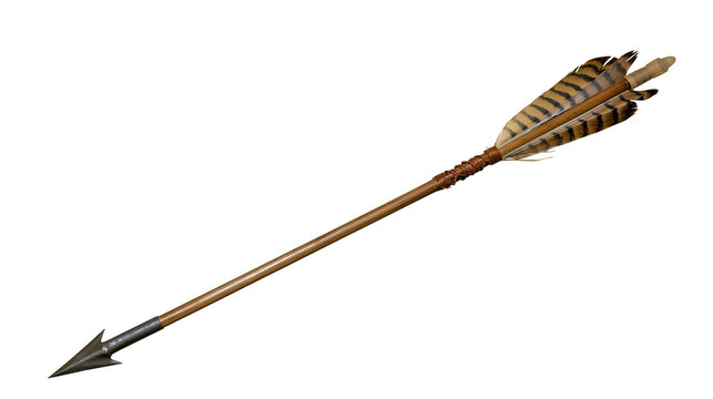 Ancient wooden arrow with metal tip and feather fletching