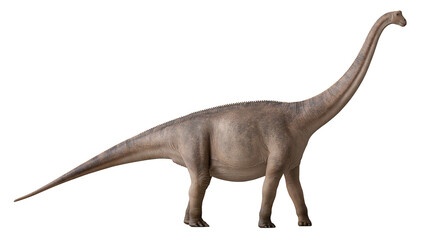 Sauropod dinosaur with long neck and tail, grey skin texture © Aino