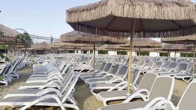 Empty beach loungers under straw umbrellas