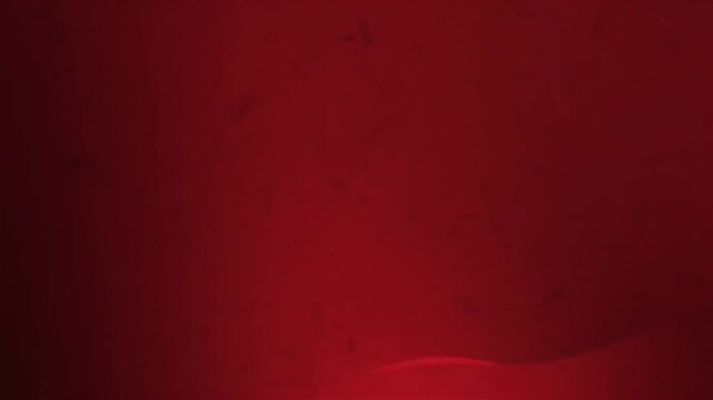 Abstract background with flowing curves in shades of red.
