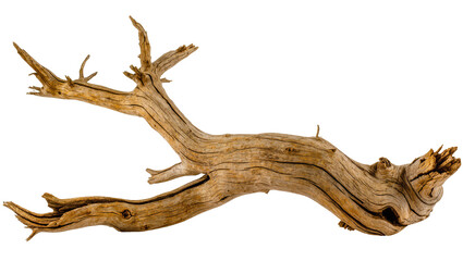 Fototapeta premium Gnarly weathered driftwood branch with intricate grain patterns, isolated on transparent background
