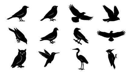 Naklejka premium Bird Silhouettes in Various Poses and Styles on a White Background Featuring Silhouette, Black, Flying with Perched and Standing