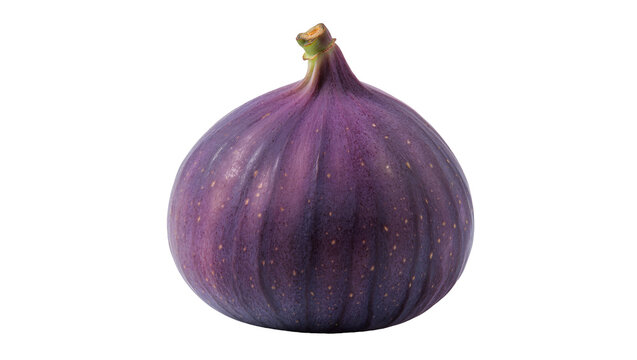 Ripe purple fig with textured skin and small seeds, isolated on transparent background