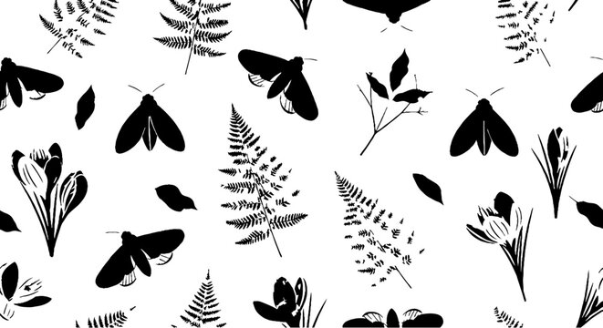 Black and white moths and ferns pattern design.