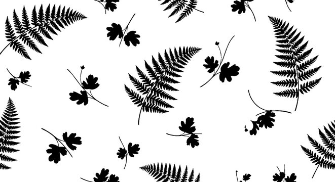 Black and white fern and leaf pattern design.