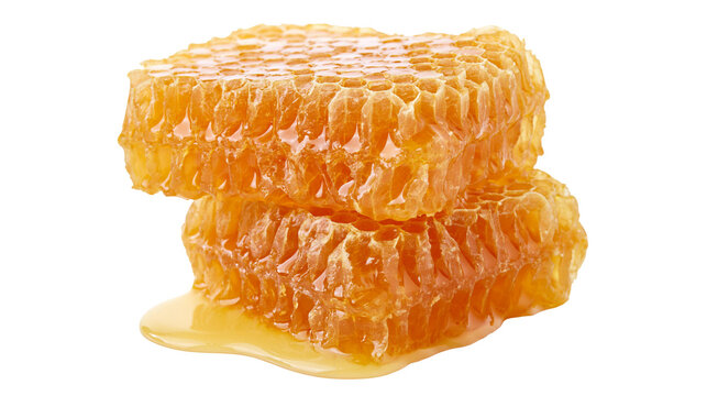 Honeycomb pieces with dripping honey