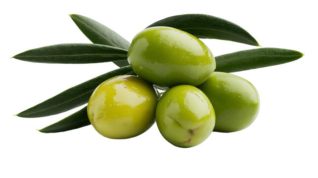 Fresh green olives with leaves