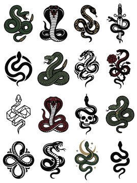 Snake Artistic Vector Illustrations Collection for Tattoo Design and Graphic Projects