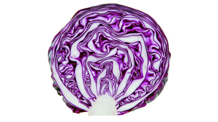 Fototapeta premium Red cabbage cross-section with vibrant purple and white layers