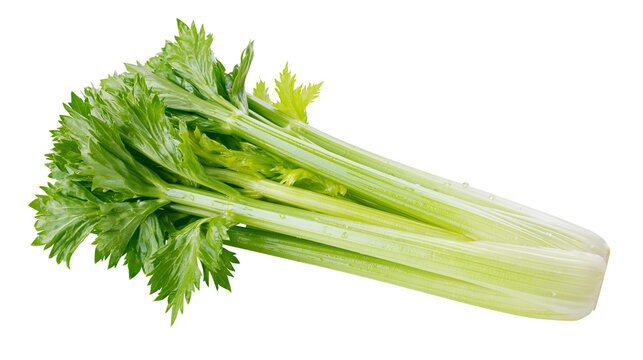 Fresh green celery stalks with leaves