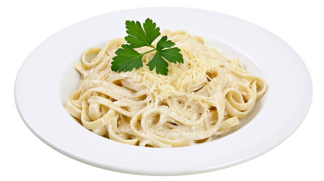 Fettuccine Alfredo pasta with grated cheese and parsley garnish
