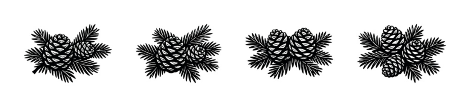 Collection of pine cones and evergreen branches in a stylized black and white illustration