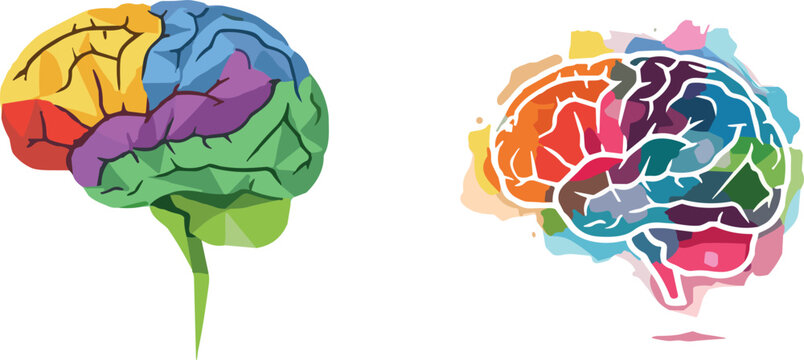 Creative Human Brain Vector Set Featuring Low Poly Geometric Lobe Mapping and Abstract Colorful Watercolor Splatter Illustration for Psychology and Artificial Intelligence Designs